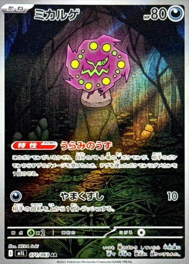 7993313